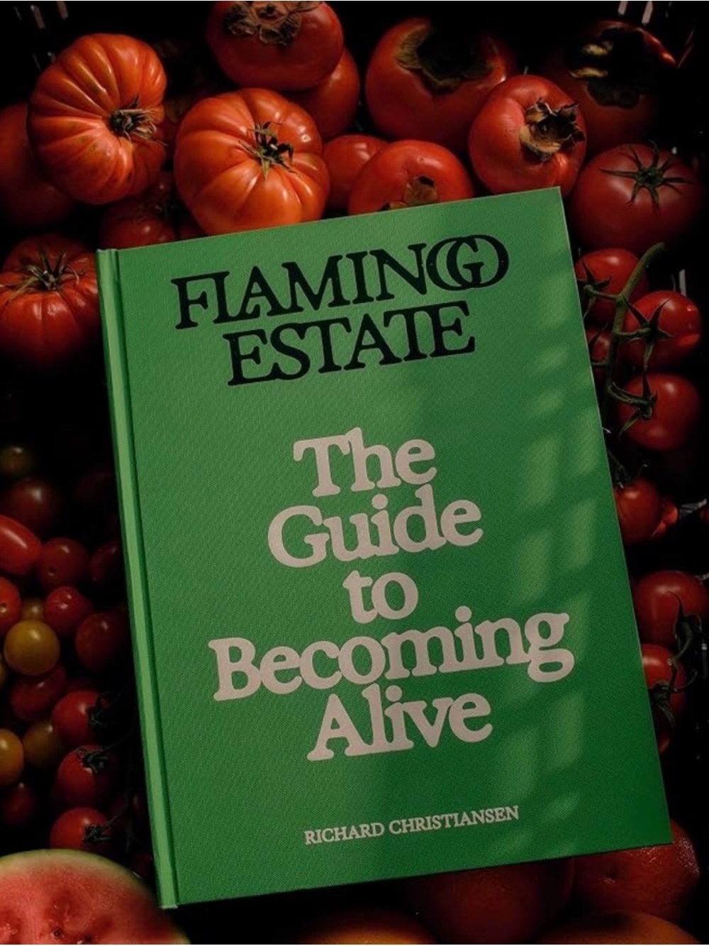 Flamingo Estate 'The Guide to Becoming Alive' Green Hardcover